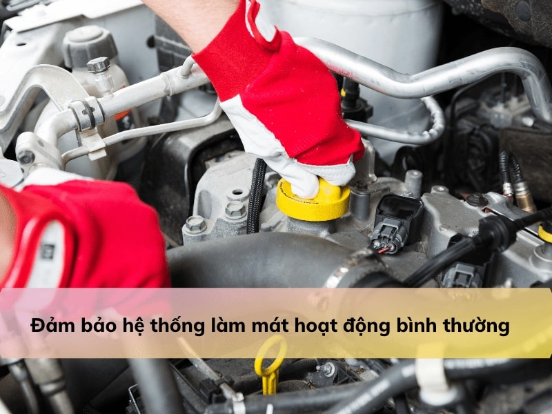 Hướng dẫn sử dụng và lưu ý khi sử dụng nước mát ô tô BlueOne® Coolant