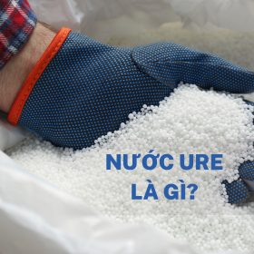 Nước ure là gì Tìm hiểu vai trò trong động cơ diesel