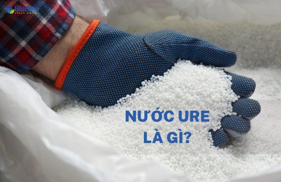 Nước ure là gì Tìm hiểu vai trò trong động cơ diesel
